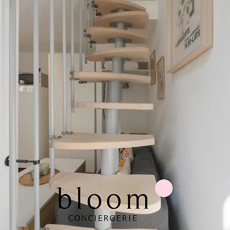 Le Diamant Equipe De La Vieille Apartament *