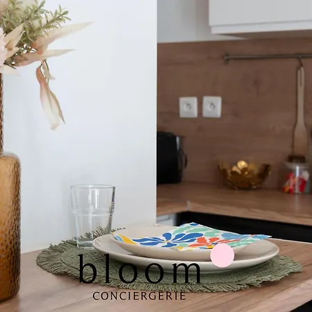 Le Diamant Equipe De La Vieille Apartament *