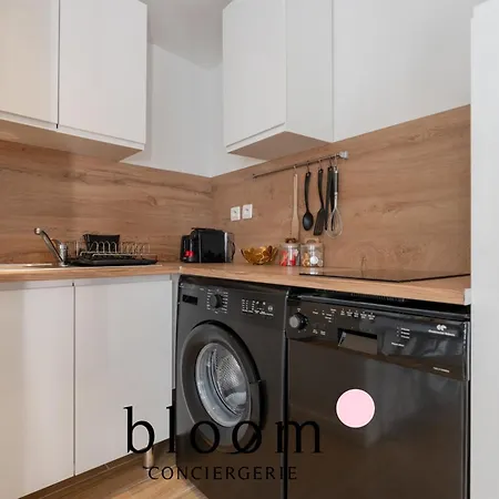 Le Diamant Equipe De La Vieille Apartament Nancy